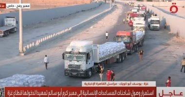 أخبار مصر.. وزارة الخارجية تعلن إدخال مصر 70% من مساعدات غزة - الخليج 365