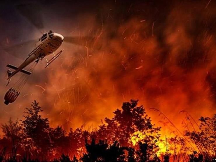 نتيجة ارتفاع الحرارة.. الدفاع المدني يُكافح للسيطرة على حرائق في شرق الجزائر