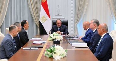 الرئيس السيسى يؤكد أهمية مشروعات البتروكيماوت والصناعات التعدينية - الخليج 365