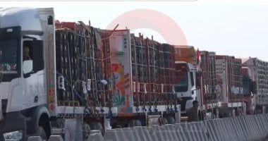 الخارجية: مصر أدخلت 70% من مساعدات غزة وتتحرك على 3 مسارات لدعم الفلسطينيين - الخليج 365