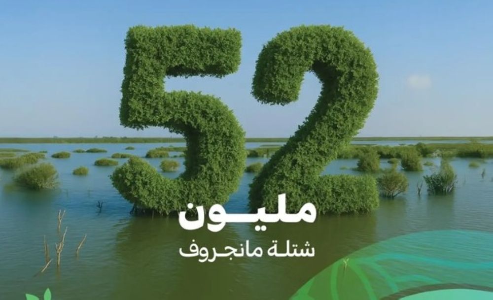100 مليون شتلة.. المملكة تكشف مستهدفات زراعة الـ مانجروف حتى 2030 - واس