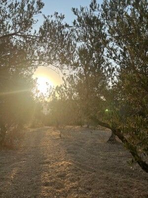 لبنان والآدميَّة الجديدة
