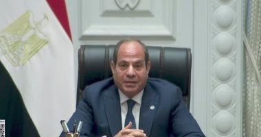 الرئيس السيسى: موقف مصر واضح فيما يخص وقف حرب غزة ودعم حل الدولتين - الخليج 365