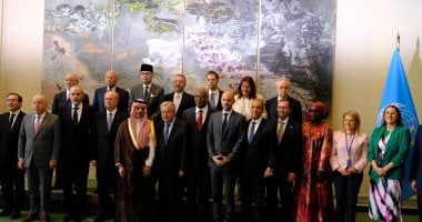 وزير الخارجية يشارك في المؤتمر الدولي رفيع المستوى للتسوية السلمية لقضية فلسطين