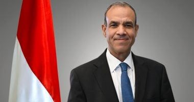 وزير الخارجية: الدولة حريصة على تطوير جسور التواصل مع الجاليات المصرية - الخليج 365