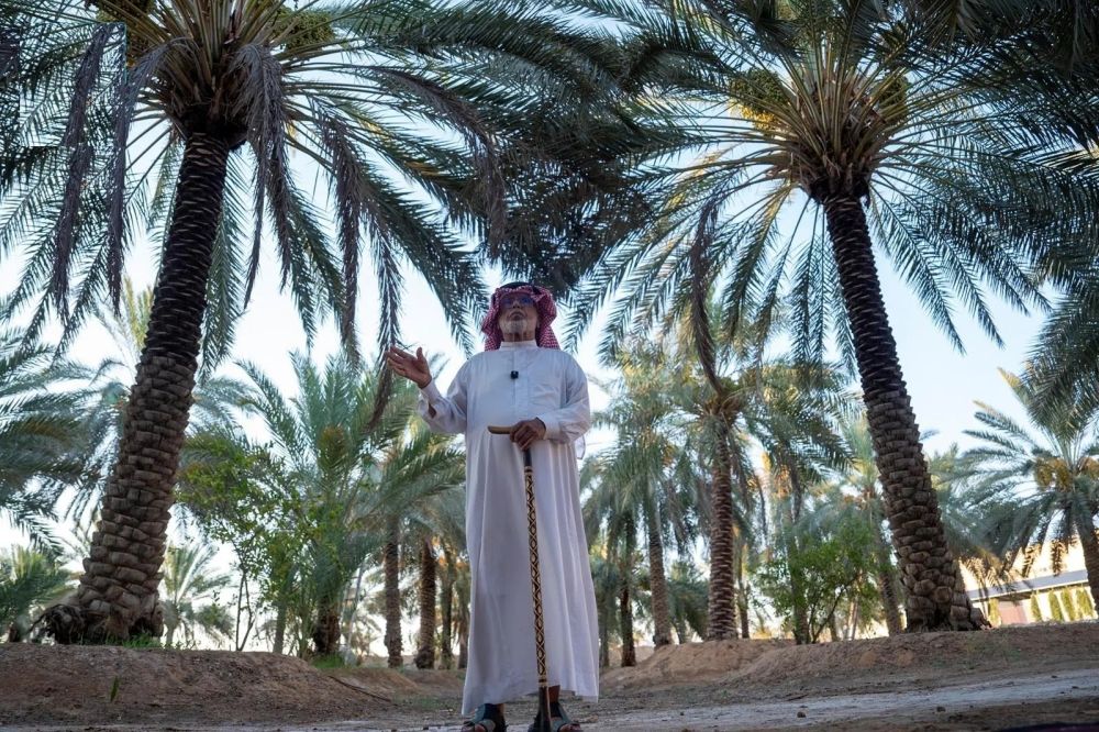 أخبار من السعودية.. نخيل "الصفرا".. بواكير موسم التمور "بشرى اقتصادية" لأهالي الجوف