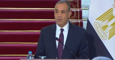 وزير الخارجية: مصر في طليعة الدول المقدمة للمساعدات الإنسانية إلى غزة - الخليج 365