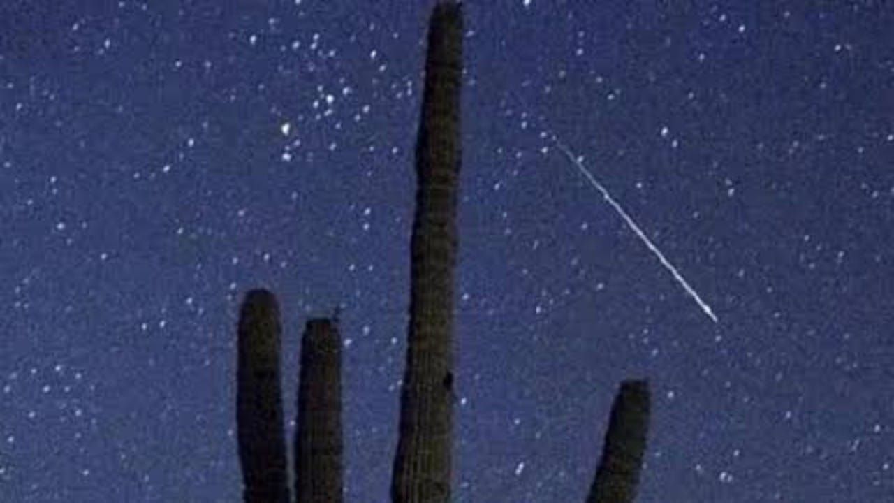 فلكيّة جدّة: ذروة نشاط شُهب دلتا الدلويات 2025 غدًا