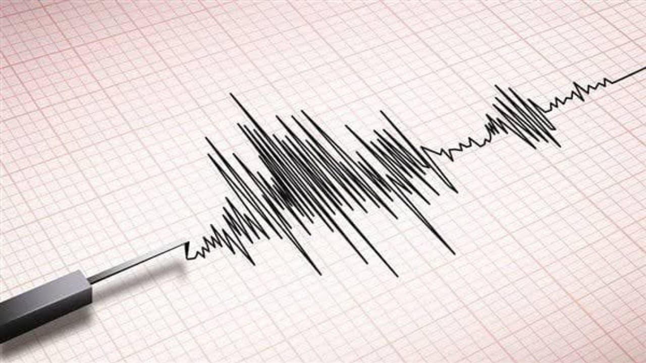 هزة أرضية بقوة 4.6 تضرب البحر الأحمر قرب جزر فرسان