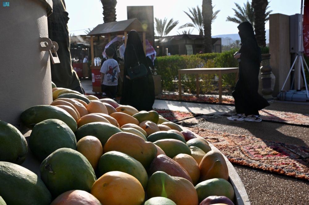 أخبار من السعودية.. موسم الفواكه الصيفية في العُلا.. أجواء تعكس أصالة الموروث الزراعي