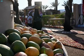 أخبار من السعودية.. الدمام 49 مئوية.. بيان درجات الحرارة العظمى على بعض مدن المملكة