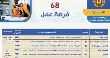 وزير العمل يُعلن عن 68 فرصة عمل بالسعودية فى مجالات متعددة - الخليج 365