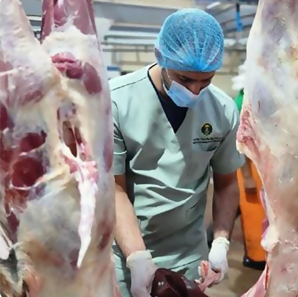 أخبار من السعودية.. عاجل: إتلاف 3.9 طن من اللحوم الفاسدة في حوش عشوائي جنوب جدة