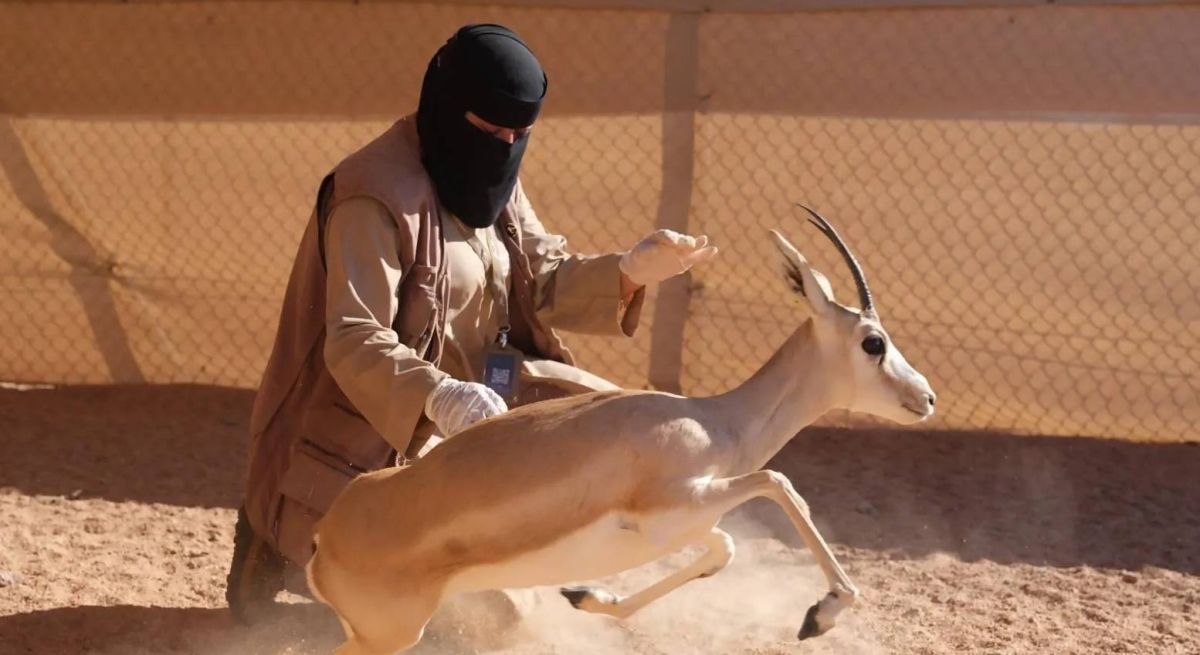 تدشين أول فريق مفتشات بيئيات بحرية في الشرق الأوسط بمحمية الأمير محمد بن سلمان .. صور