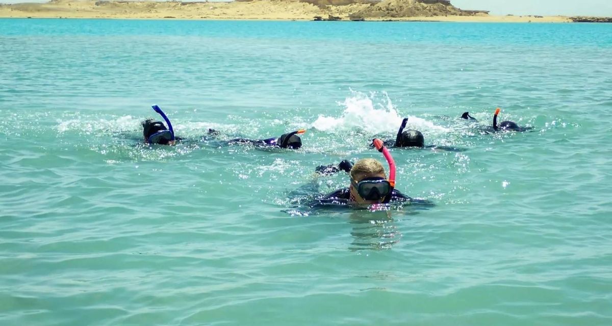 تدشين أول فريق مفتشات بيئيات بحرية في الشرق الأوسط بمحمية الأمير محمد بن سلمان .. صور