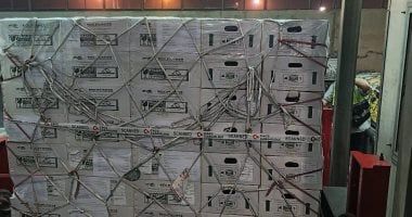 "الحجر الزراعي" يعلن انطلاق أول شحنة تقاوى بطاطس مينى تيوبر إلى أوزبكستان