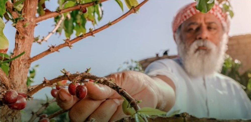 أخبار من السعودية.. بقدرة 50 كجم في الساعة.. إطلاق أول آلة لتقشير البُن تناسب القرى الزراعية
