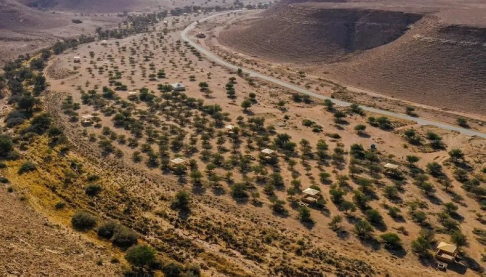 أخبار من السعودية.. 40 مليون هكتار.. كيف تتحوّل الأرض القاحلة لمساحات خضراء في السعودية؟