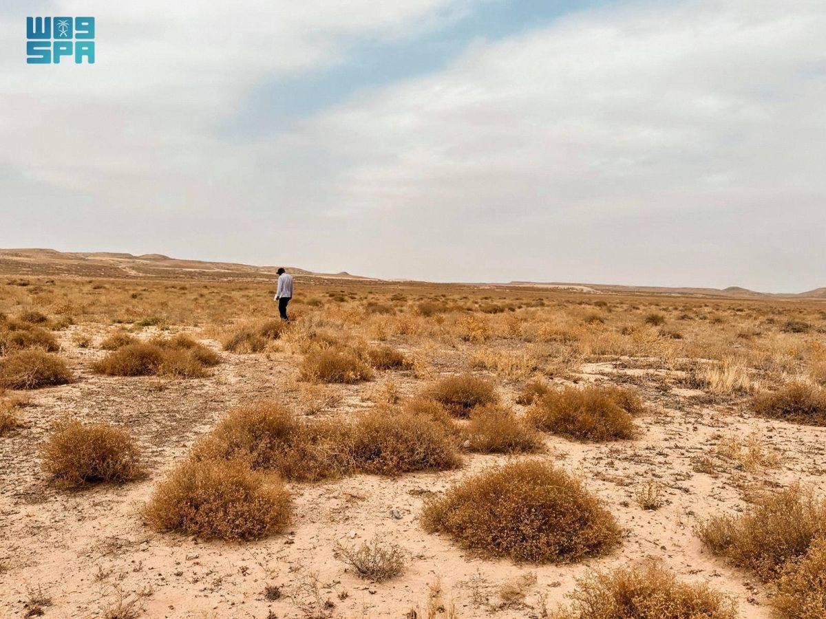 هيئة تطوير محمية الملك عبدالعزيز الملكية تكشف عن نتائج مشروع «بنك البذور»