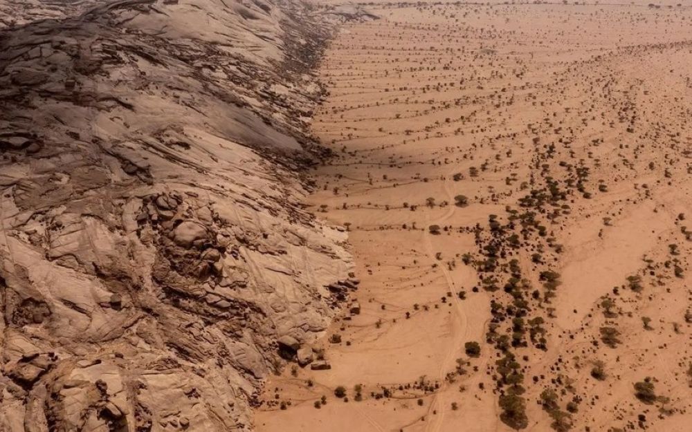 40 مليون هكتار.. كيف تتحوّل الأرض القاحلة إلى مساحات خضراء في السعودية - واس