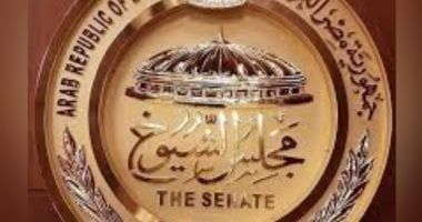 بدء عملية تصويت المصريين باليابان وكوريا الجنوبية في انتخابات مجلس الشيوخ