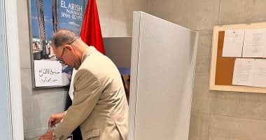 المصريون فى كوريا الجنوبية يدلون بأصواتهم بانتخابات مجلس الشيوخ 2025 - الخليج 365