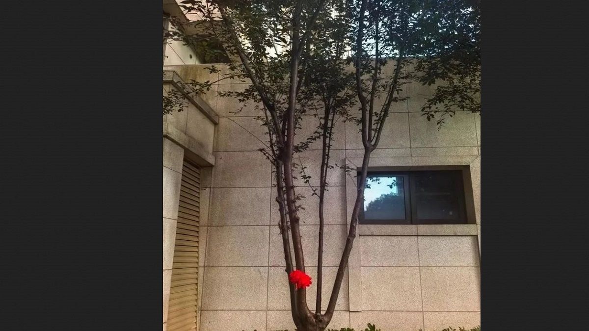 الامارات | أطباء وصفوا نجاة الطفل بـ«معجزة».. سقط من الطابق 18 و«شجرة الحياة» أنقذته