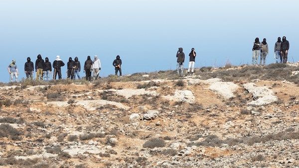 مستوطنون إسرائيليون يقطعون أشجار زيتون مُعمِّرة في الضفة