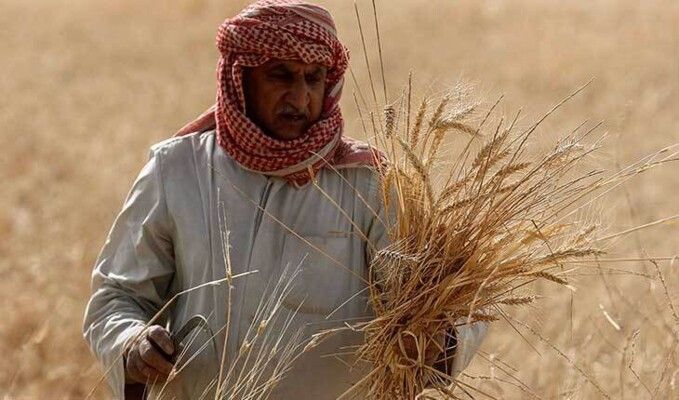 وزير الموارد المائية العراقي: شحّ المياه يوقف الزراعة في العراق الشهر المقبل
