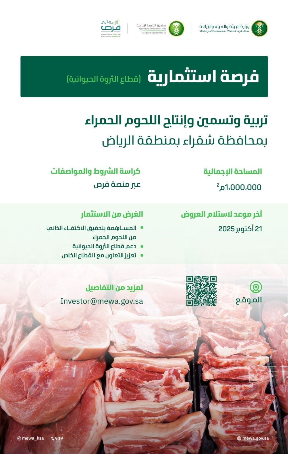 أخبار من السعودية.. بمساحة مليون م².. طرح مشروع لتربية الماشية وإنتاج اللحوم الحمراء بشقراء