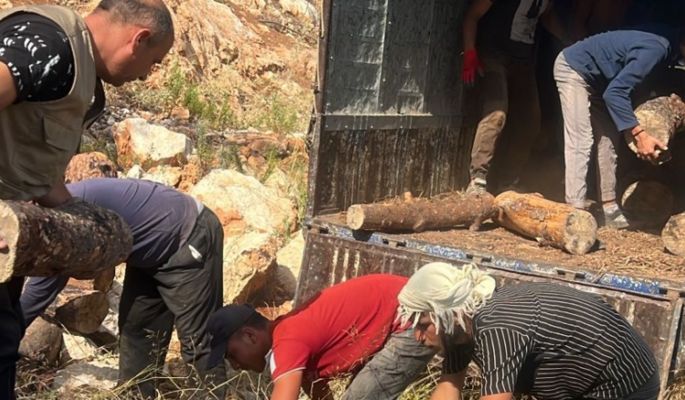 وزارة الزراعة: مصادرة حطب ومعدات من أحراج حرّار وتحرير محضر ضبط بحق المخالفين