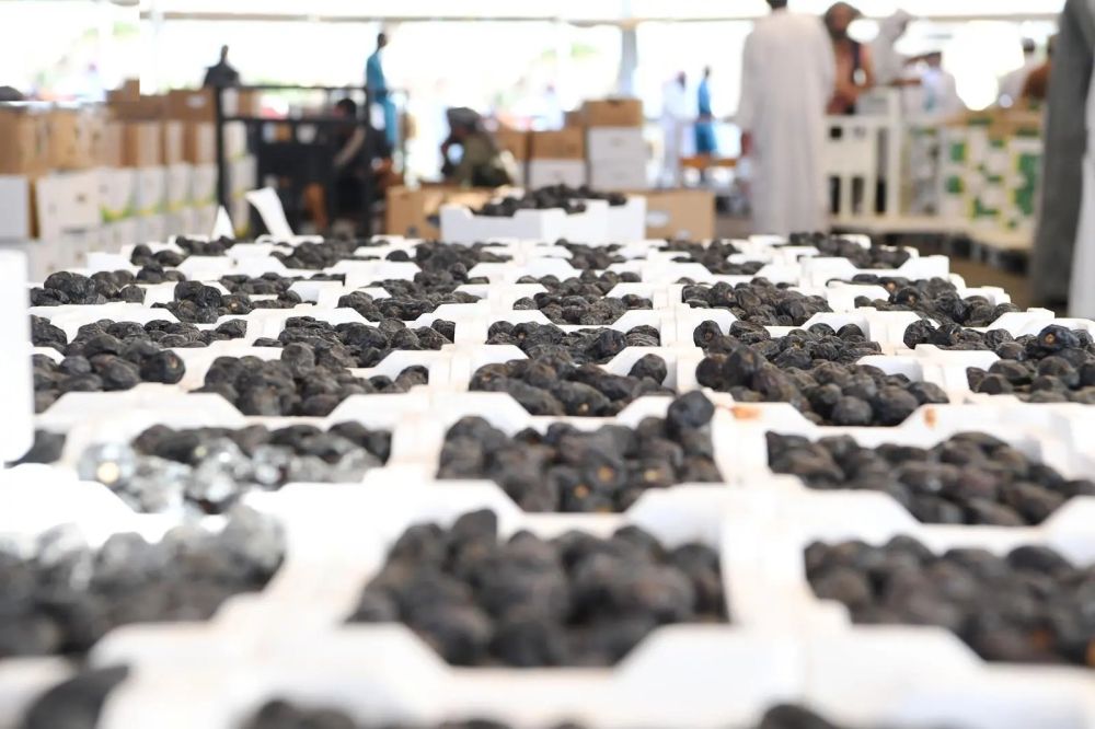 سوق التمور بالمدينة المنورة فرصة واعدة للشباب الباحثين عن الاستثمار