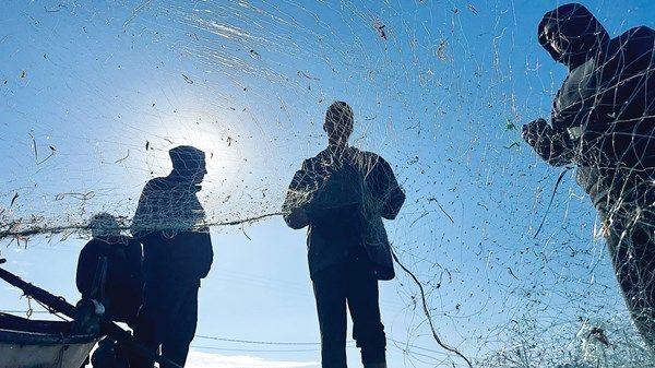 الجيش الإسرائيلي يعتقل 14 صياداً فلسطينياً ويطالب بإخلاء حي الزيتون