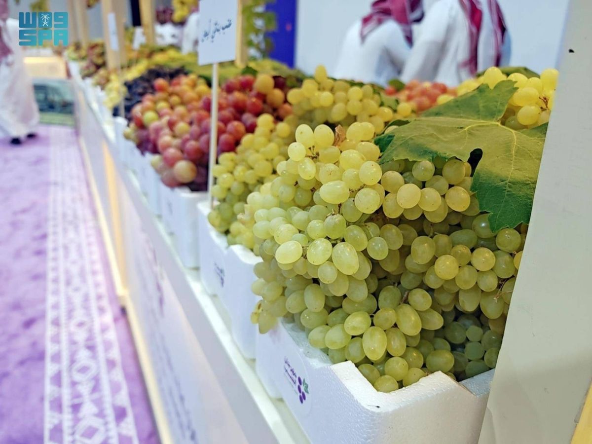 زراعة الحناكية تشارك في مهرجان العنب الأول