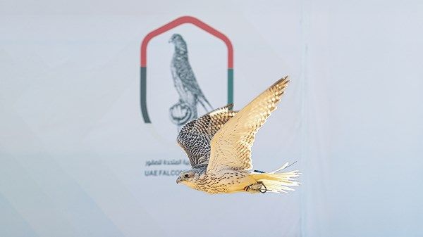 بتوجيهات منصور بن زايد ورعاية أحمد بن محمد.. إطلاق كأس الإمارات العالمي لسباقات الصقور