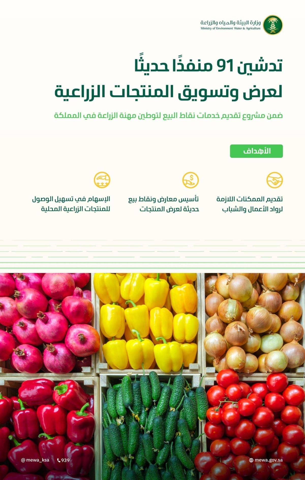 «البيئة» تدشن 91 منفذا حديثا لرواد الأعمال