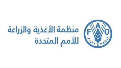 تحذير من الفاو لخطر انتشار الجراد في عدة مناطق بأفريقيا قبل عام 2026
