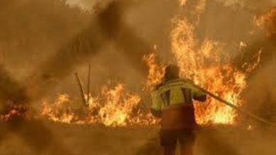 اقتربت نهاية الحرائق في إسبانيا بفضل مديرة الدفاع المدني الإسباني