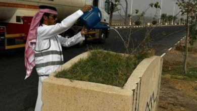 مبادرة لري المزروعات والعناية بنموها في رنية