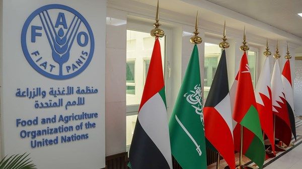 «الفاو» تشيد بجهود الإمارات في تمكين المرأة