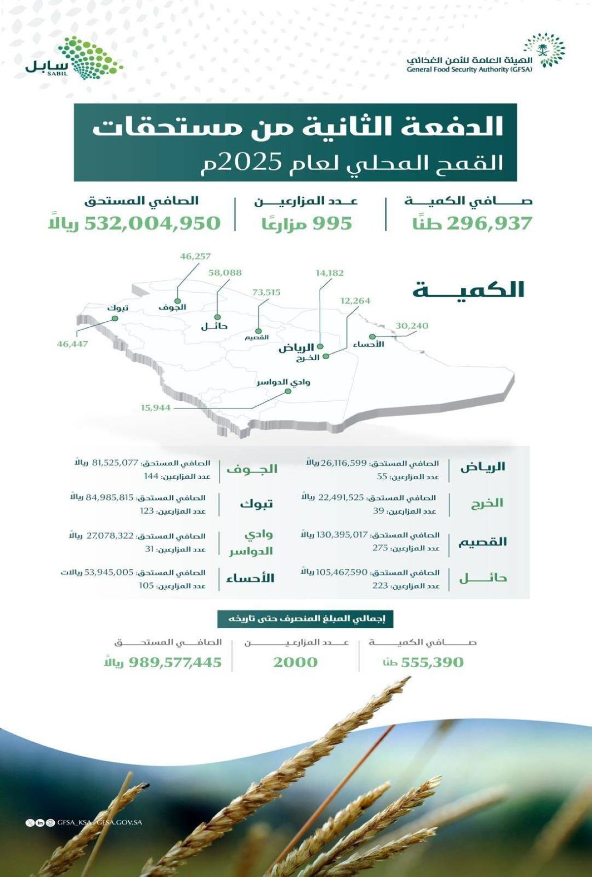 «الأمن الغذائي» تصرف 532 مليون ريال مستحقات الدفعة الثانية لمزارعي القمح المحلي