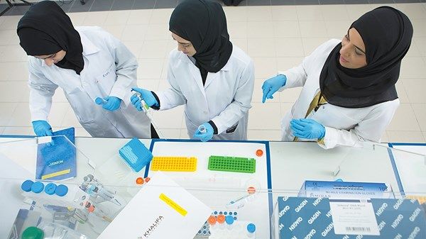 مسؤولات وطبيبات بالقطاع الصحي لـ«الاتحاد»: إنجازات نسائية في مسيرة التنمية الطبية