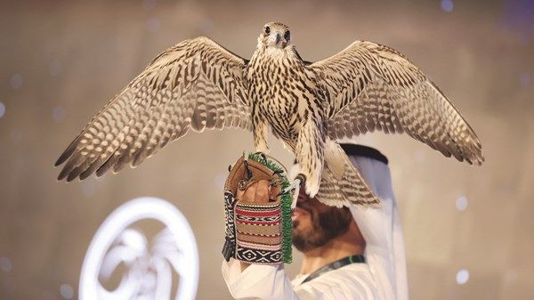 تحت رعاية حمدان بن زايد.. معرض أبوظبي الدولي للصيد والفروسية ينطلق اليوم