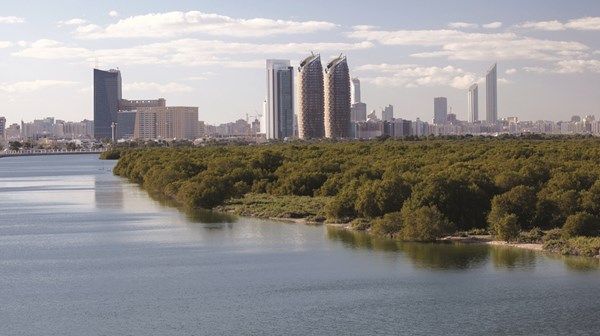 توقعات بسقوط أمطار غداً