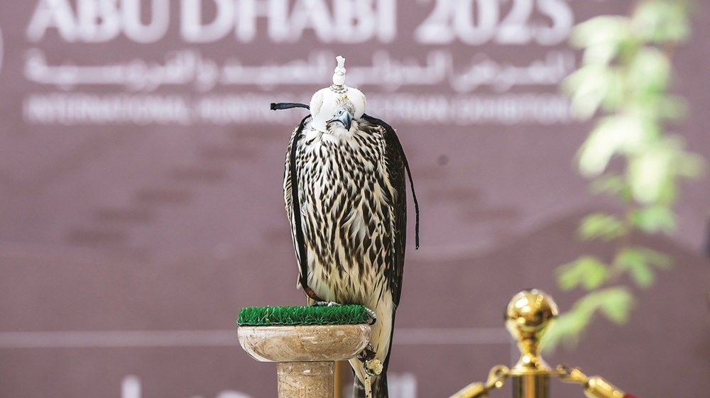 المنتجات الوطنية علامة بارزة تجذب زوار «الصيد والفروسية»