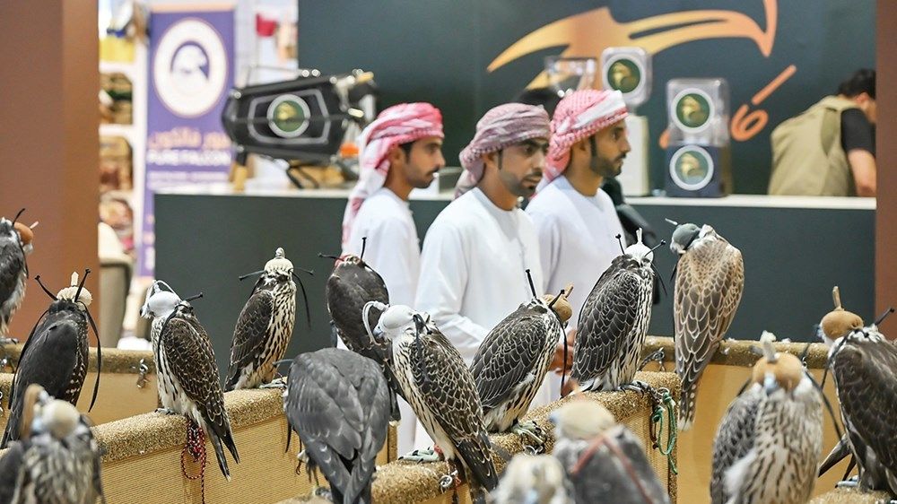«أبوظبي للصيد والفروسية».. وجهة تعليمية للأجيال الصاعدة