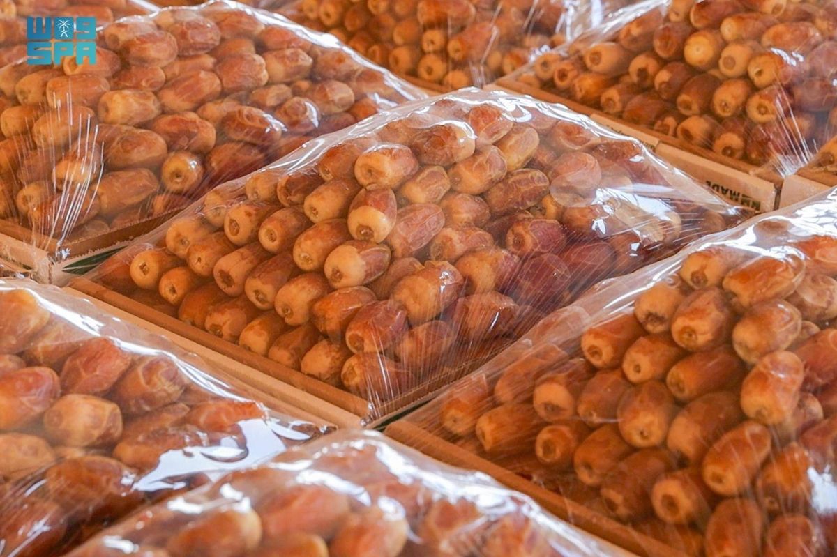 موسم تمور البدائع.. جودة في المنتج وكميات تنعش الحركة الاقتصادية