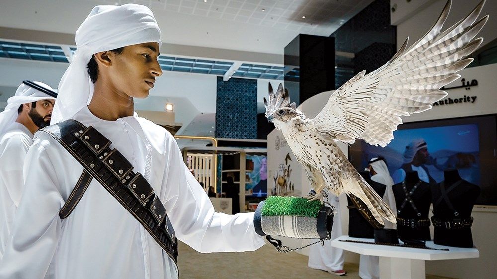 «الصيد والفروسية».. وجهة تجمع الترفيه والمغامرة وأصالة التاريخ والتراث