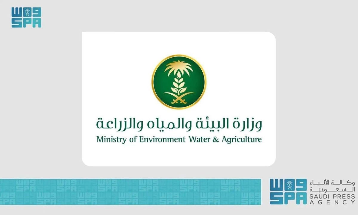 "بيئة القنفذة" تنظم ورشة عمل عن دور الصيادين في حماية الموارد البحرية