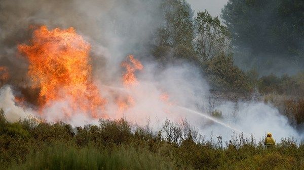 اندلاع حرائق غابات جديدة في البرتغال وإسبانيا